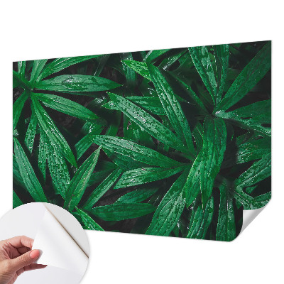 Samolepilna fototapeta za spalnico z motivom naravnega zelenja