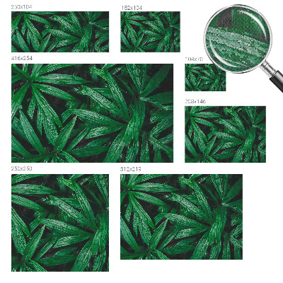 Samolepilna fototapeta za spalnico Naravno zelenje