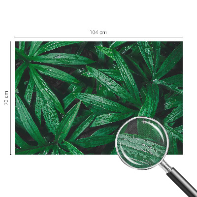 Samolepilna fototapeta za spalnico z motivom naravnega zelenja