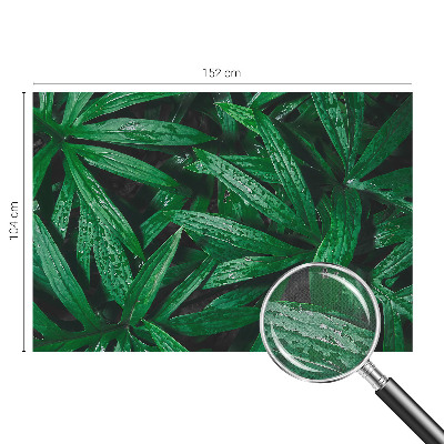 Samolepilna fototapeta za spalnico z motivom naravnega zelenja
