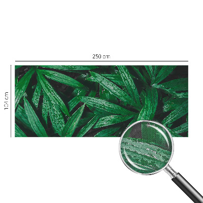 Samolepilna fototapeta za spalnico z motivom naravnega zelenja