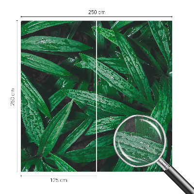 Samolepilna fototapeta za spalnico z motivom naravnega zelenja