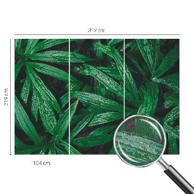 Samolepilna fototapeta za spalnico z motivom naravnega zelenja