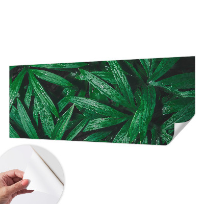 Samolepilna fototapeta za spalnico Naravno zelenje