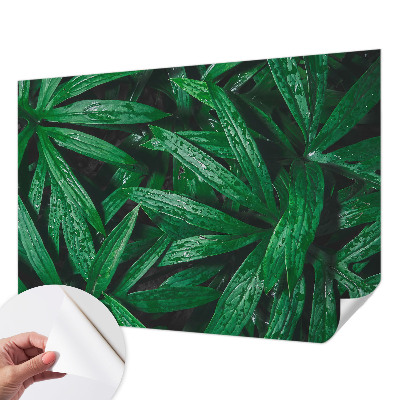 Samolepilna fototapeta za spalnico z motivom naravnega zelenja