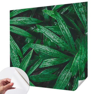 Samolepilna fototapeta za spalnico Naravno zelenje