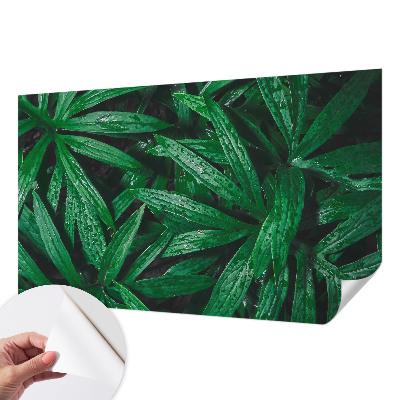 Samolepilna fototapeta za spalnico z motivom naravnega zelenja