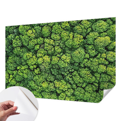 Otroška fototapeta Gozdna panorama