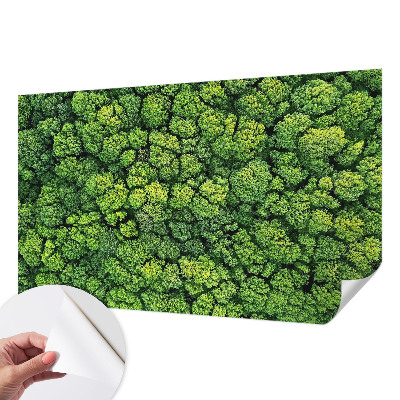 Otroška fototapeta z motivom gozdne panorame