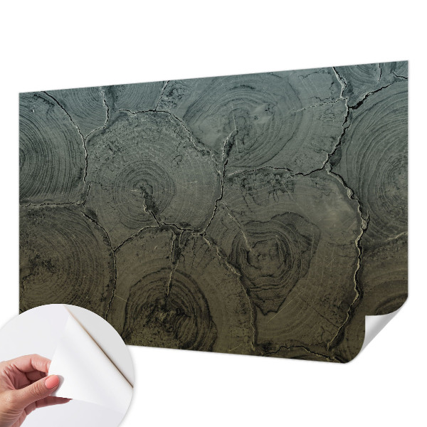 Otroška fototapeta Leseni obroči