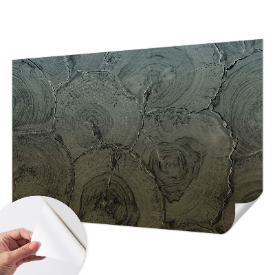 Otroška fototapeta Leseni obroči