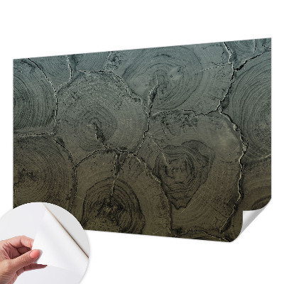 Otroška fototapeta Leseni obroči