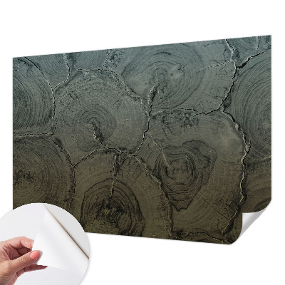 Otroška fototapeta Leseni obroči