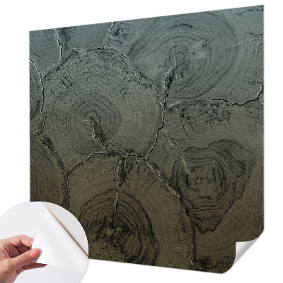 Otroška fototapeta Leseni obroči