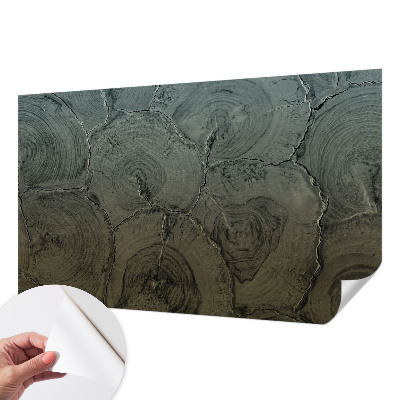 Otroška fototapeta Leseni obroči