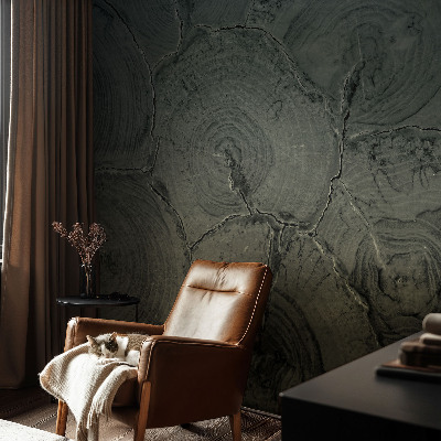 Otroška fototapeta Leseni obroči