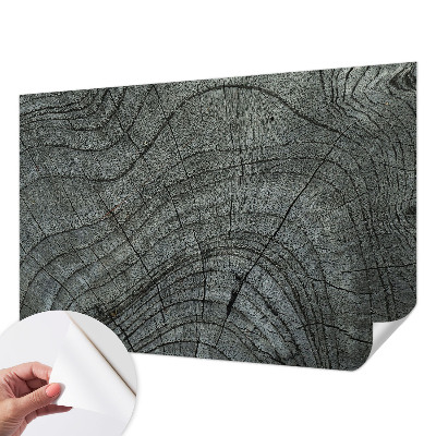 Fototapeta za otroško sobo Vzorec zrn