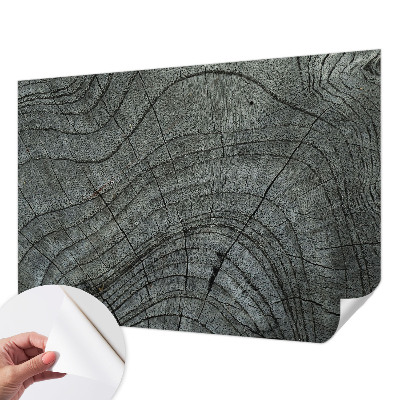 Fototapeta za otroško sobo z motivom vzorca zrn