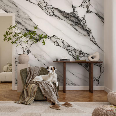 Samolepilna fototapeta Kamniti vzorec