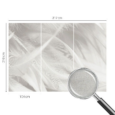 3D fototapeta Nežno perje