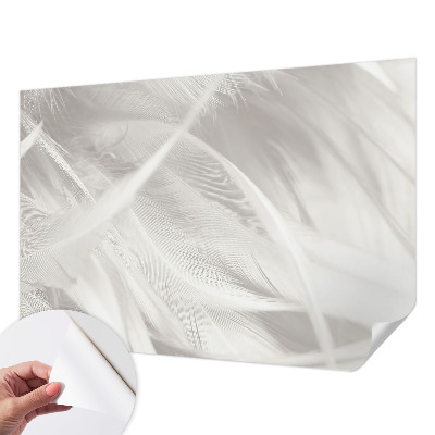 3D fototapeta z motivom nežnega perja