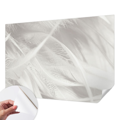 3D fototapeta z motivom nežnega perja