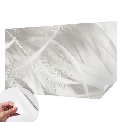 3D fototapeta z motivom nežnega perja