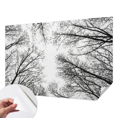 3D fototapeta z motivom golih vej