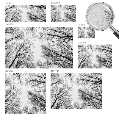 3D fototapeta z motivom golih vej
