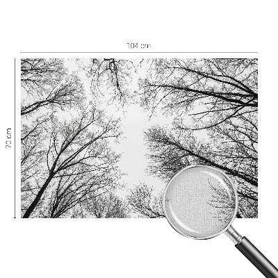 3D fototapeta z motivom golih vej