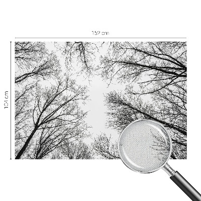 3D fototapeta Gole veje