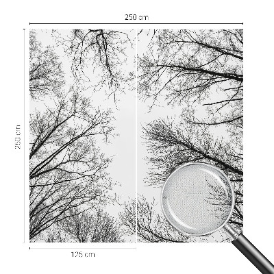 3D fototapeta Gole veje