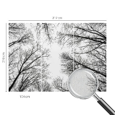 3D fototapeta Gole veje