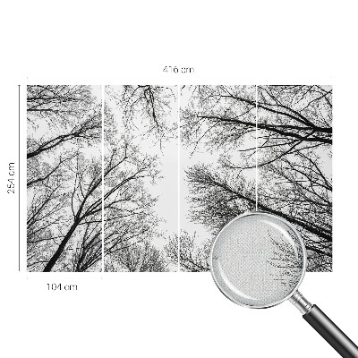 3D fototapeta Gole veje