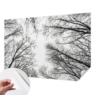 3D fototapeta z motivom golih vej