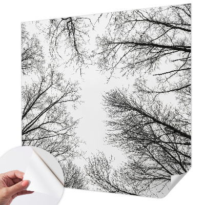 3D fototapeta z motivom golih vej