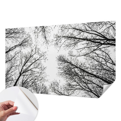 3D fototapeta z motivom golih vej