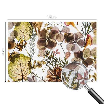 3D fototapeta Naravna sestava