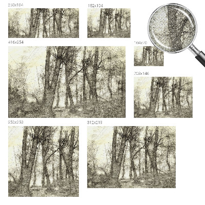 3D fototapeta z motivom gozdne melanholije