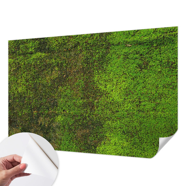 Samolepilna fototapeta za dnevno sobo Zelena preproga