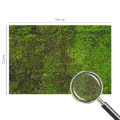 Samolepilna fototapeta za dnevno sobo Zelena preproga