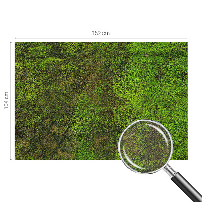 Samolepilna fototapeta za dnevno sobo Zelena preproga