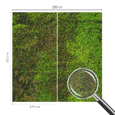 Samolepilna fototapeta za dnevno sobo Zelena preproga