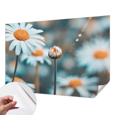 Samolepilna fototapeta z motivom kamilične poslastice