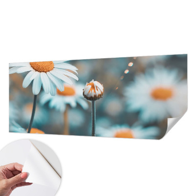 Samolepilna fototapeta z motivom kamilične poslastice