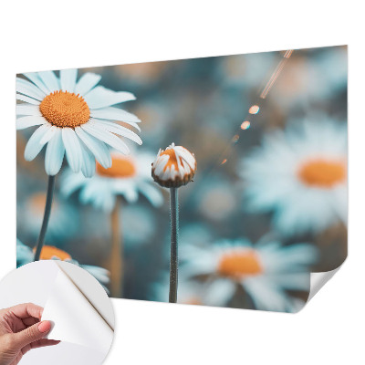 Samolepilna fototapeta z motivom kamilične poslastice