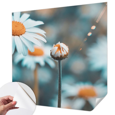 Samolepilna fototapeta z motivom kamilične poslastice