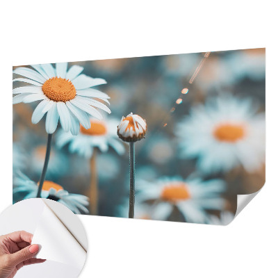 Samolepilna fototapeta z motivom kamilične poslastice