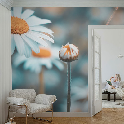 Samolepilna fototapeta z motivom kamilične poslastice