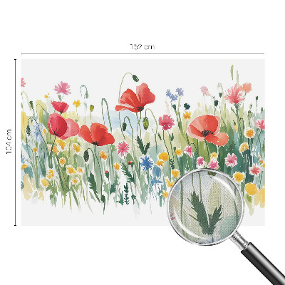 Fototapeta za otroško sobo Poletni travnik